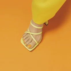 Among The Marigolds CND VINYLUX