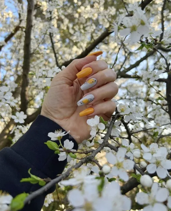 Among The Marigolds CND VINYLUX