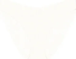 Body Make-Up Illusion Lace Highleg Tai