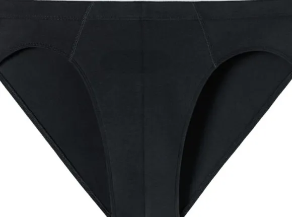 Brief