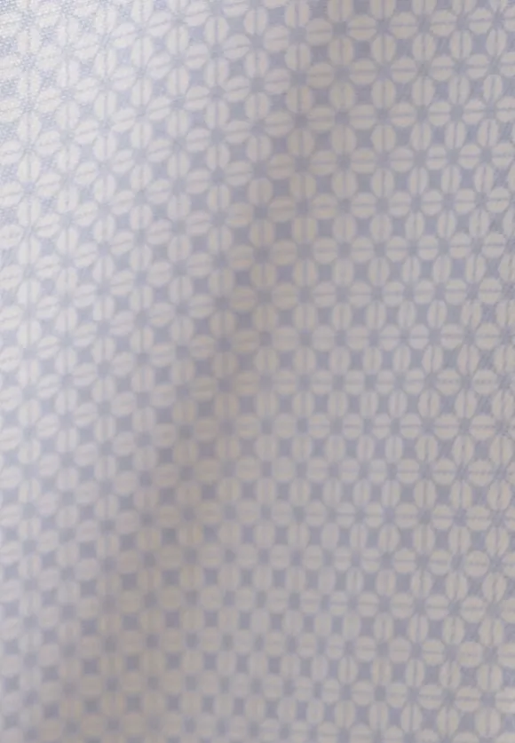Business Shirt Regular Long sleeve Kent-Collar Print