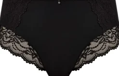 CESILE FULL BRIEF