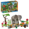 Elephant with Zookeeper