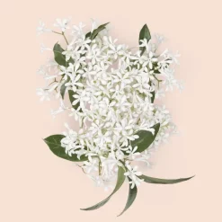 Gucci Bloom Intense