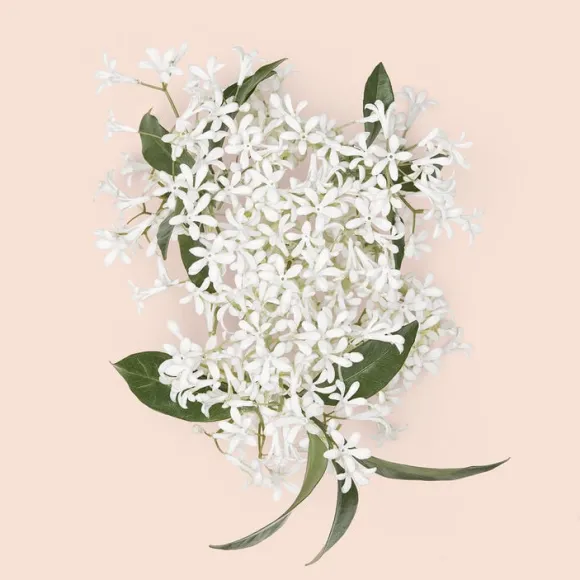 Gucci Bloom Intense