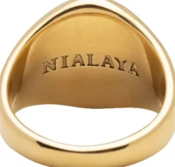 Men's Stainless Steel Lion Crest Ring with Gold Plating
