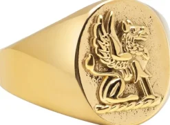 Men's Stainless Steel Lion Crest Ring with Gold Plating