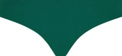 Navarino Brief
