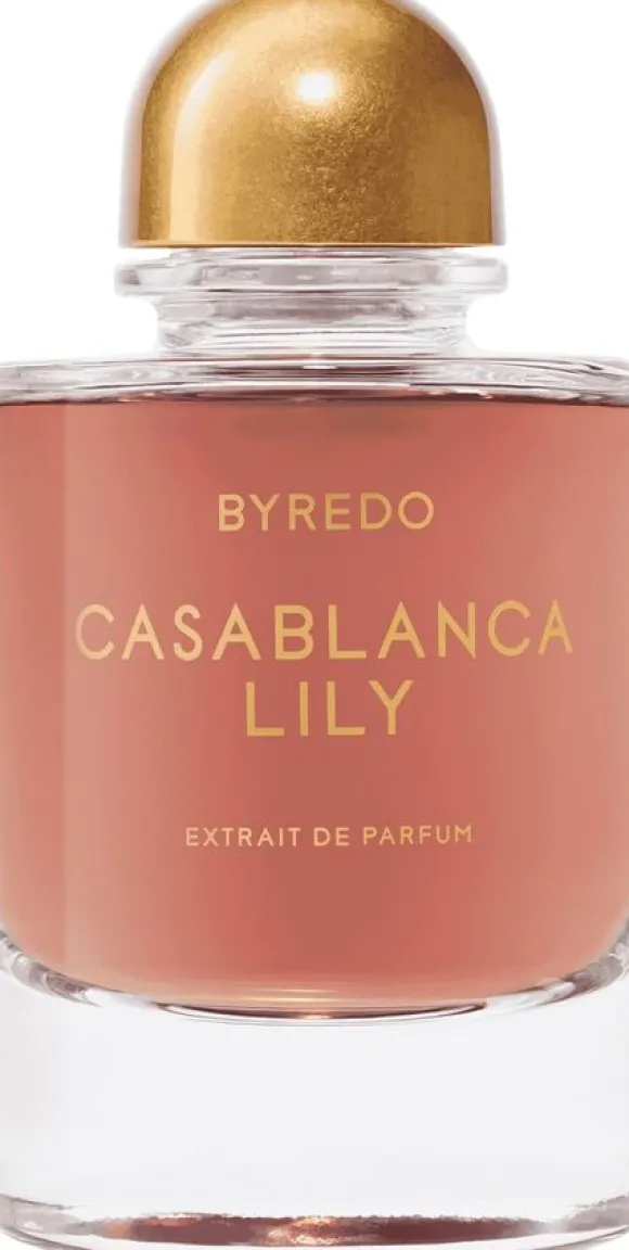 Night Veils Casablanca Lily
