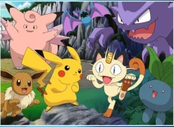 Pokemon 300p