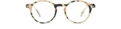 READING #D Light Tortoise