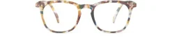 READING E Blue Tortoise +3