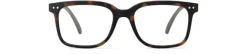 READING #L Tortoise