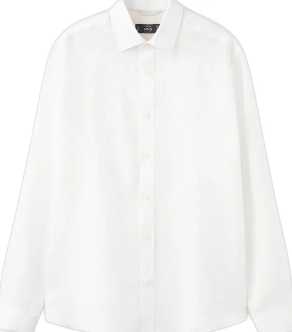 Regular-fit 100% linen shirt