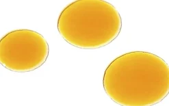 ROSEHIP BIOREGENERATE OIL 10ML
