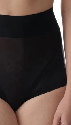 Sheer T. Curve Enhancing Brief -4W2021