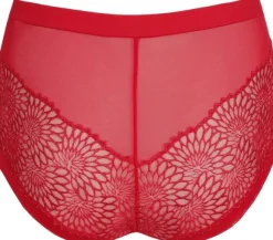 Sophora hotpants