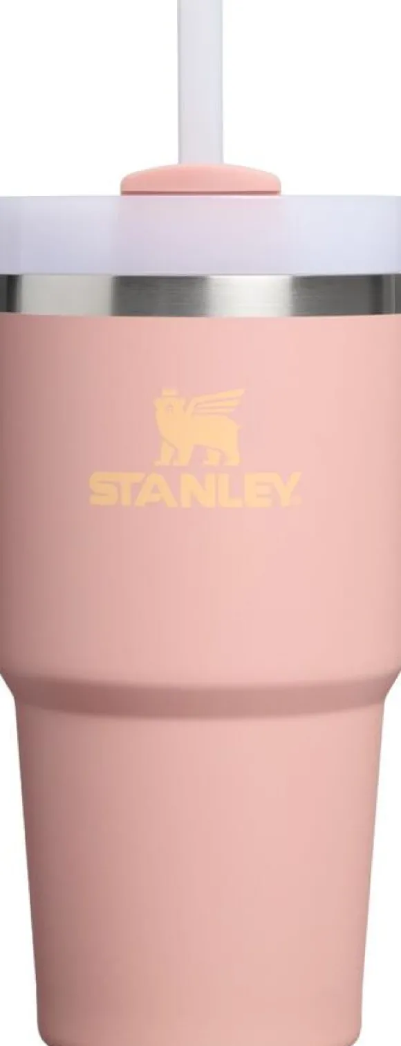 Stanley The Quencher H2. O FlowState Tumbler 0. 6L