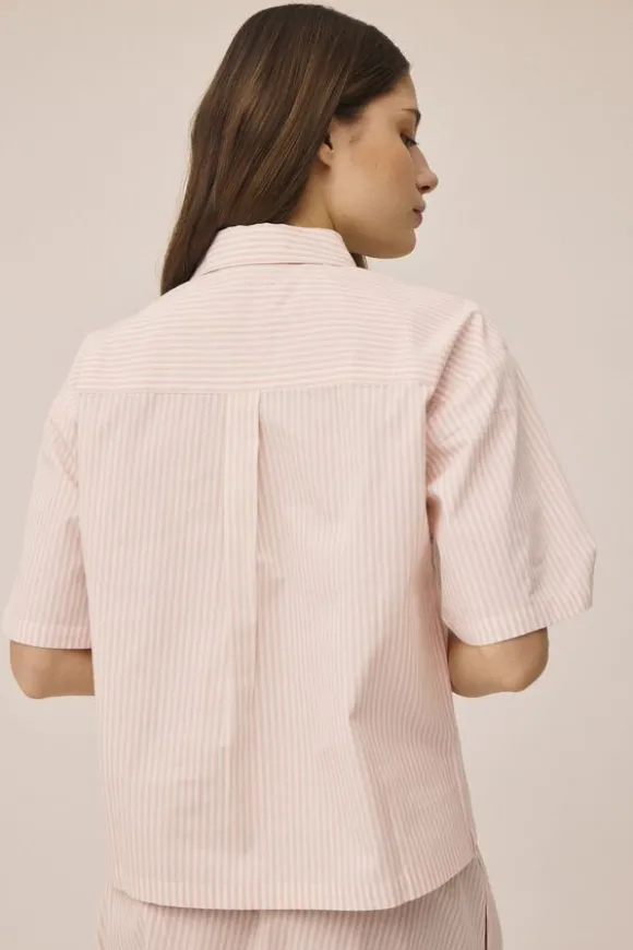 Stine 2 Shirt - 100% Cotton GOTS