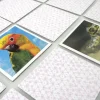 Tactic Memo Animal Babies