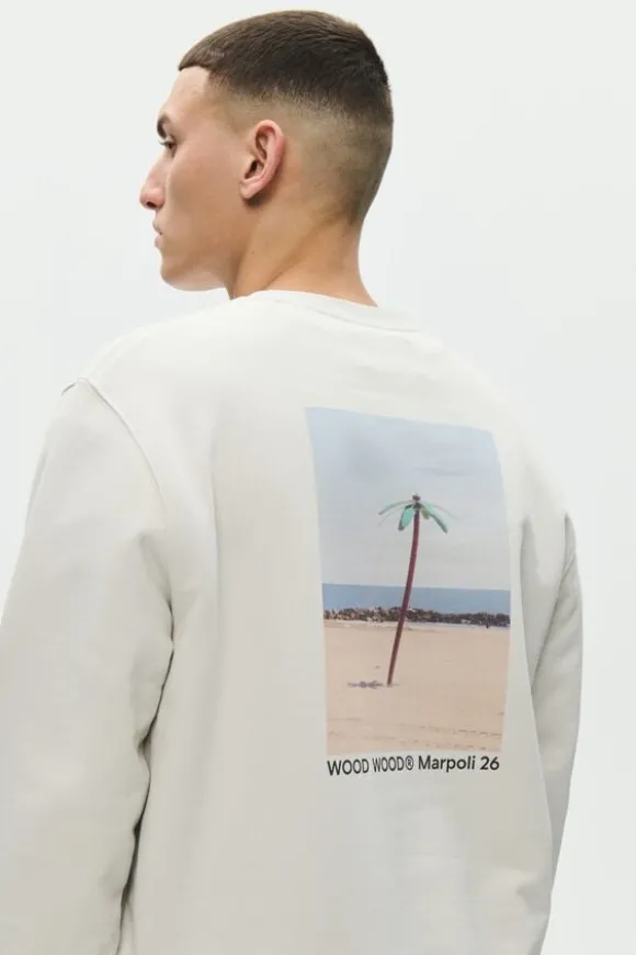 WWColter palm crew 25429